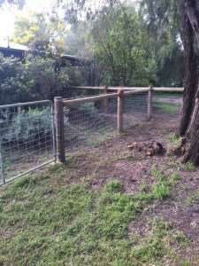 Stock fence with top timber rail-Dunsborough-Busselton-Vasse-Quindalup-Eagle Bay-Cowaramup-Margaret River and Yallingup-0418 903 281